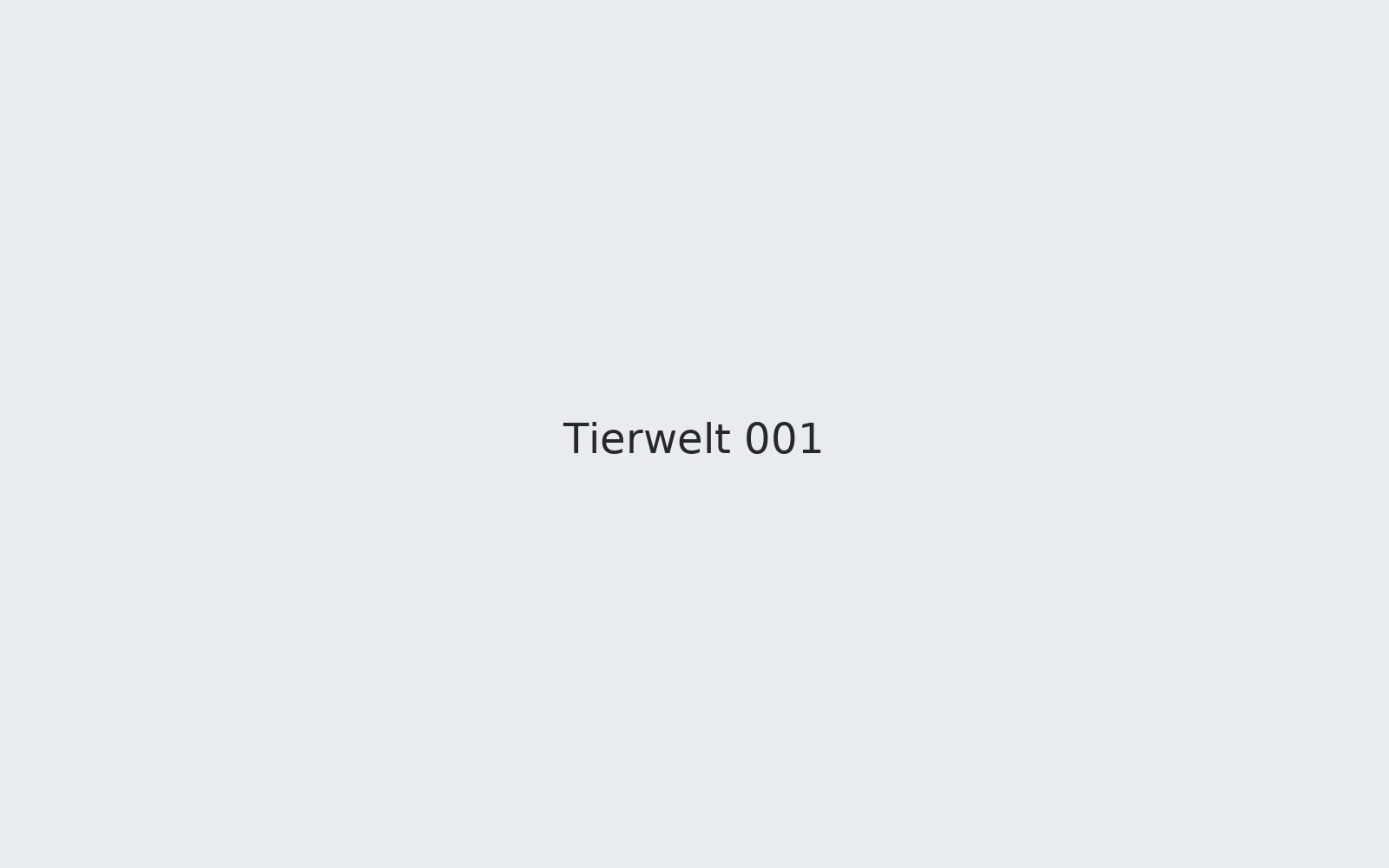Tierwelt 001