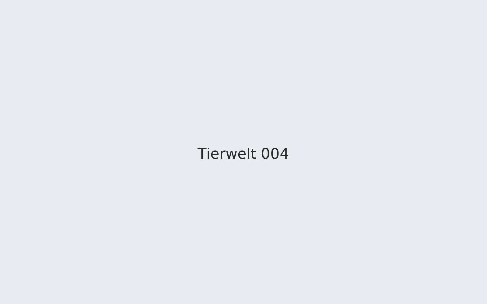 Tierwelt 004