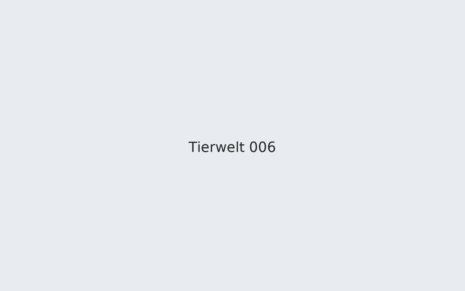 Tierwelt 006
