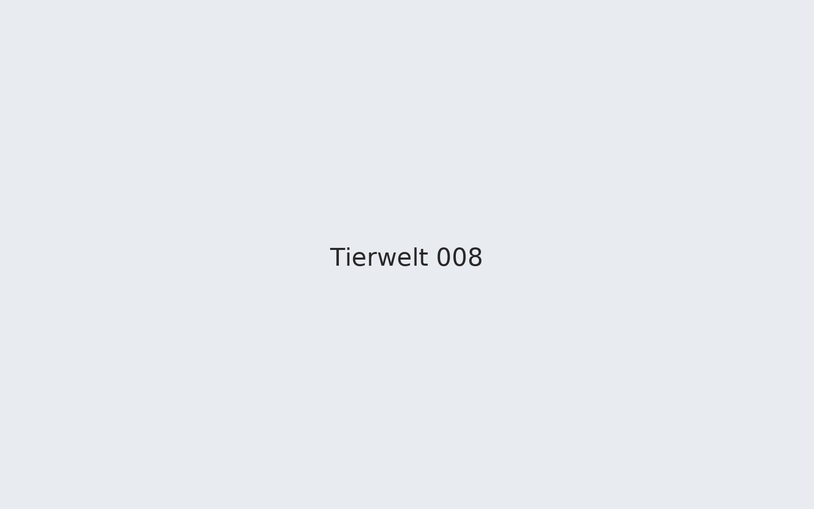 Tierwelt 008