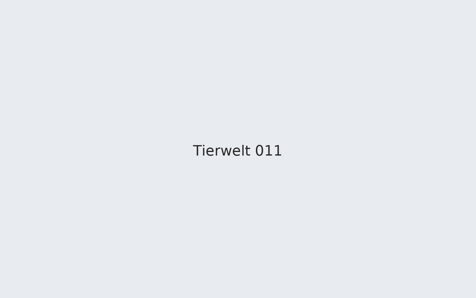 Tierwelt 011